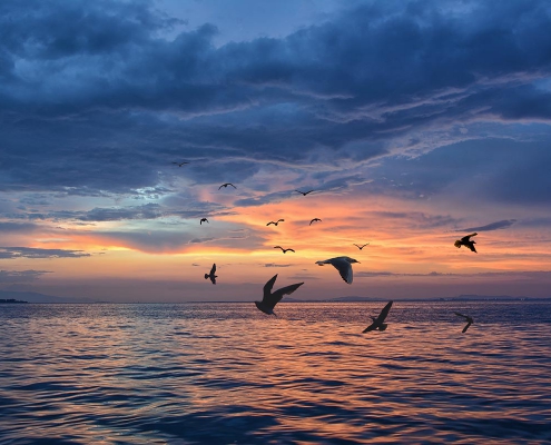 Lake Erie Sunset